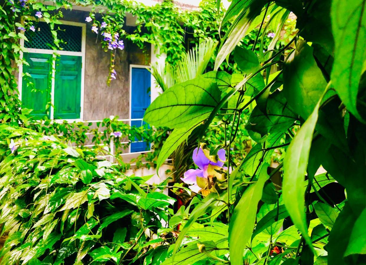 More Joy Matara Exterior photo